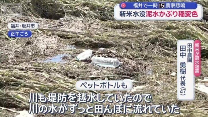「ごみが上から乗っかっている」