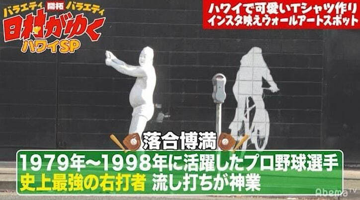 日村、ハワイのインスタ映えスポットでアート撮影　完成度の高さにスタッフも大爆笑「ナイスアート！」