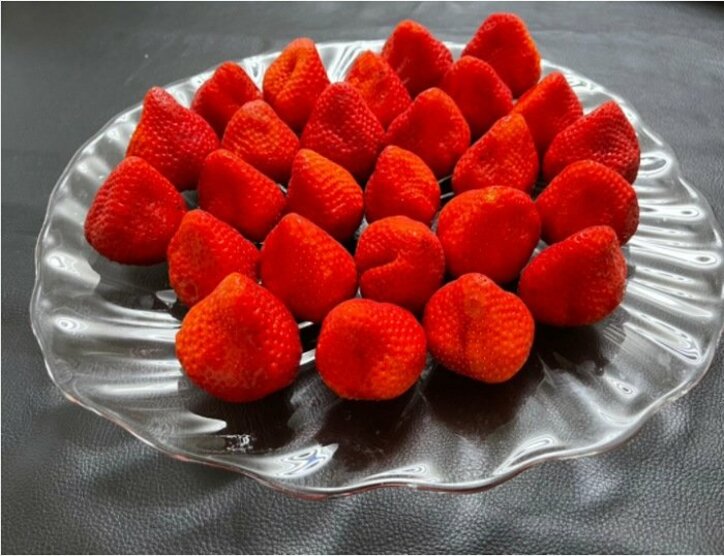 薬丸裕英、ヒロミ＆松本伊代夫婦から貰った高級食材「ご馳走さまでした」