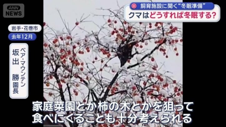 「なんとか食べて生きようとする」