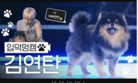 “BTS・Vの愛犬”がチッケムデビュー「ついに出た」「ヨンタンかわいい」の声