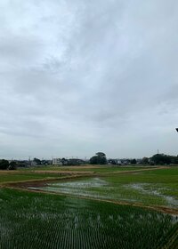 北斗晶『嬉しいLINE』