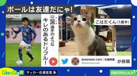 【映像】サッカー選手のようなドリブルを披露する猫