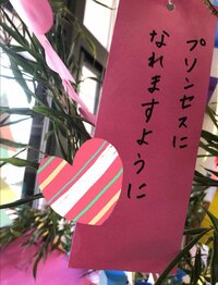 蛯原英里『願い事』