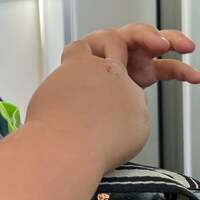 よめぽん（ANZEN漫才あらぽん嫁）『思わず聞き返してしまった』