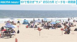 NYで相次ぎ“サメ” 約50カ所 ビーチを一時閉鎖