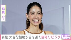 森泉（42）、“植物園みたい”と話題の広々とした自宅リビングを公開