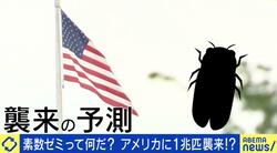 「素数ゼミ」2024年アメリカで大量発生！？「成虫の寿命はひと月ほど。我慢していればいなくなる」「大きな被害はない」  8割が嫌いな“昆虫”との共生を考える