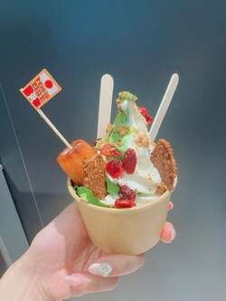  「食べてみたかった」 元ギャルママモデル、大阪万博で並んで購入した約1800円のフード