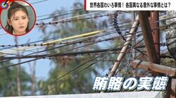 脱北YouTuber「北朝鮮は賄賂なしでは生活できない」 コロンビア出身男性「国が教育にお金を使わない」 世界各国の賄賂事情