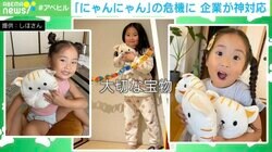 こんないい話ある？ 5歳の女の子と「にゃんにゃん」の危機に企業が神対応！