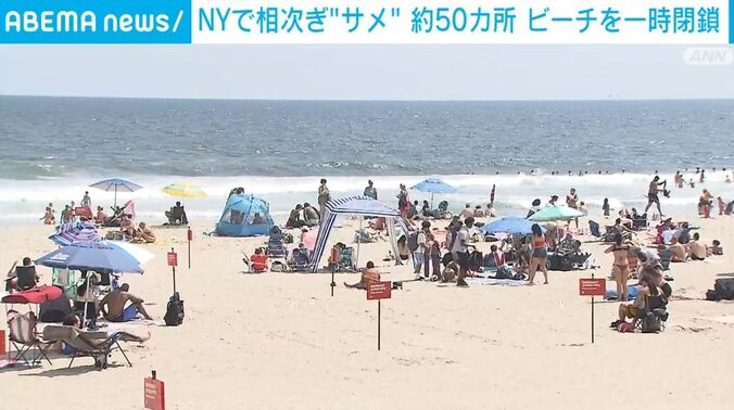 ニューヨーク市でサメの目撃情報が最も多かったロックアウェイビーチ
