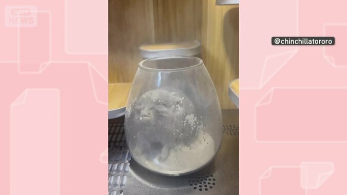 体は真っ白に！