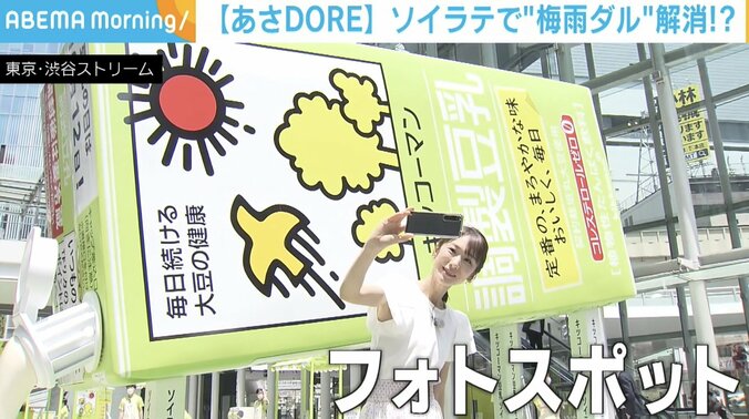 ソイラテで「梅雨ダル」解消？豆乳で手軽に「食生活の見直し」も 2枚目