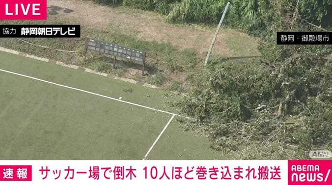 倒木