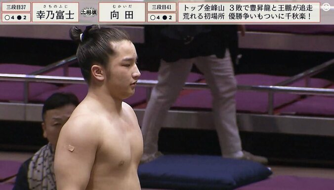 凛々しい表情の幸乃富士