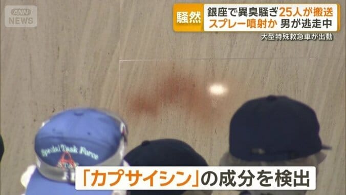 検出された成分は「カプサイシン」