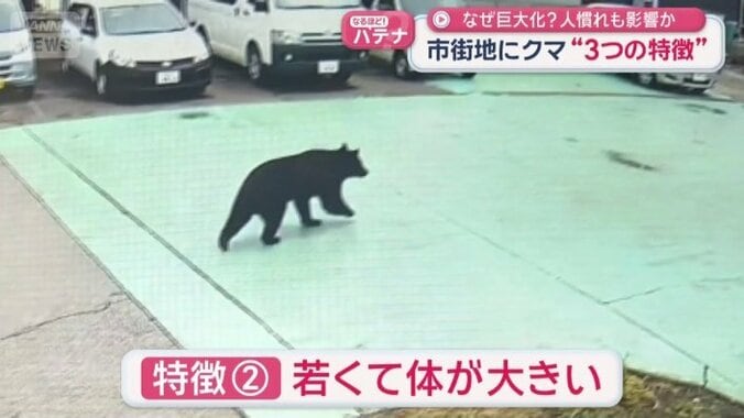特徴（2）