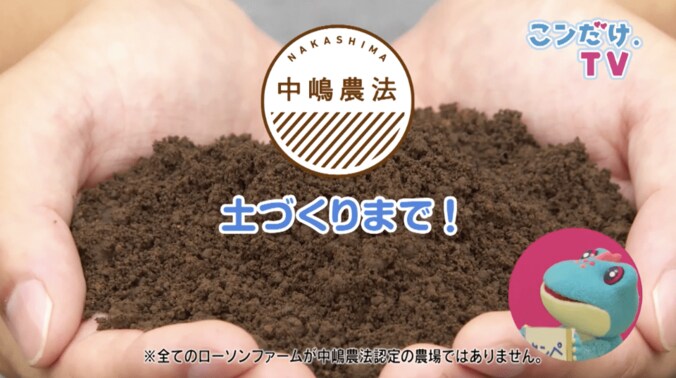 カット野菜は洗わずに食べて大丈夫？　ローソン野菜の秘密 5枚目