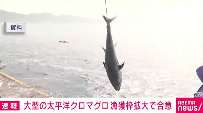 マグロ