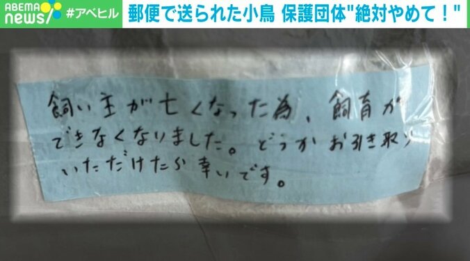 【写真・画像】生きたインコを「ゆうパック」で一方的に送付！？ 「命をなんだと」保護団体怒り 神庭亮介氏「“中途半端な優しさ”が仇になった」 対策は？　3枚目