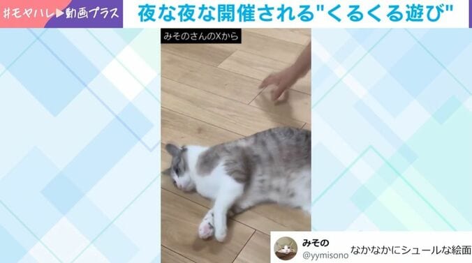 猫がハマる“くるくる”遊び