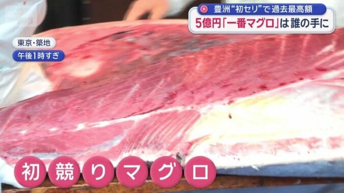 解体されるマグロ