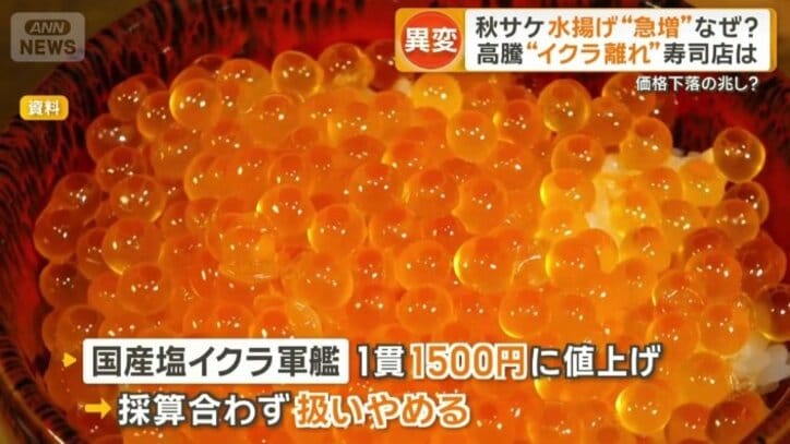 国産イクラ軍艦は採算が合わず…