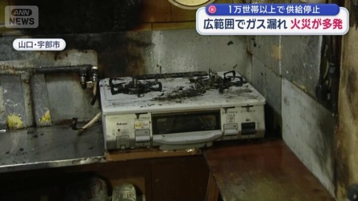 かなり大きな炎があがったことが分かる