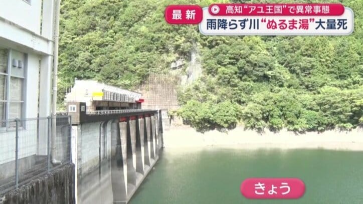 2026年8月26日