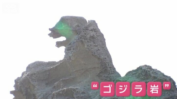 通称「ゴジラ岩」