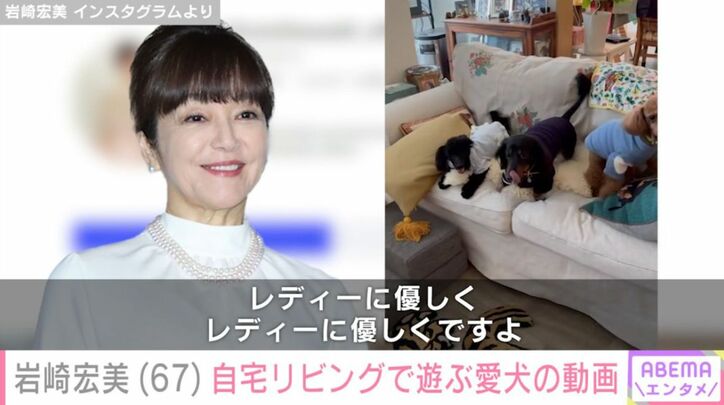 岩崎宏美の愛犬たち