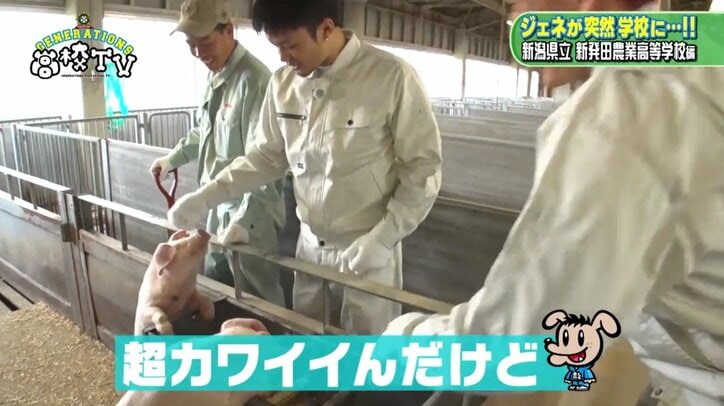 強面なのにかわいい! GENERATIONS龍友のギャップ萌えシーン3選