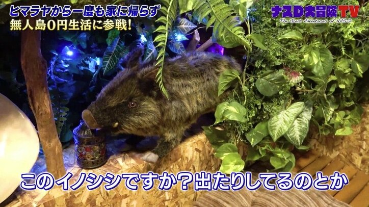 バイきんぐ小峠、“破天荒”ナスDの自宅を訪問して驚き「よくイノシシを出したり引いたりしようと思いましたね」