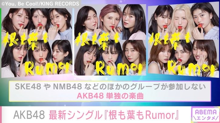 「最初は距離をつめるのが難しかった」AKB48・岡田奈々、峯岸みなみとの思い出を明かす