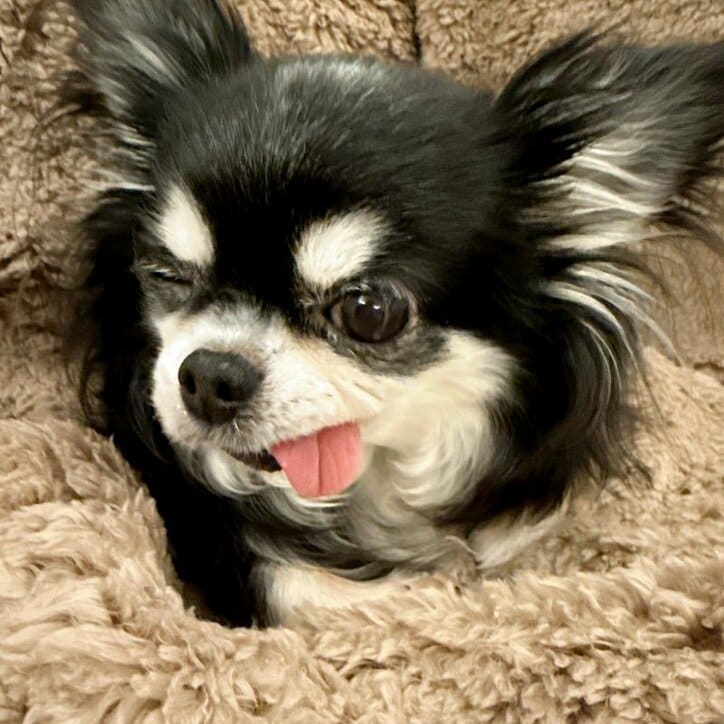 【写真・画像】SNS下書き_241218更新　※※露出系は配信先「nor.」を外すこと！！※※　1枚目