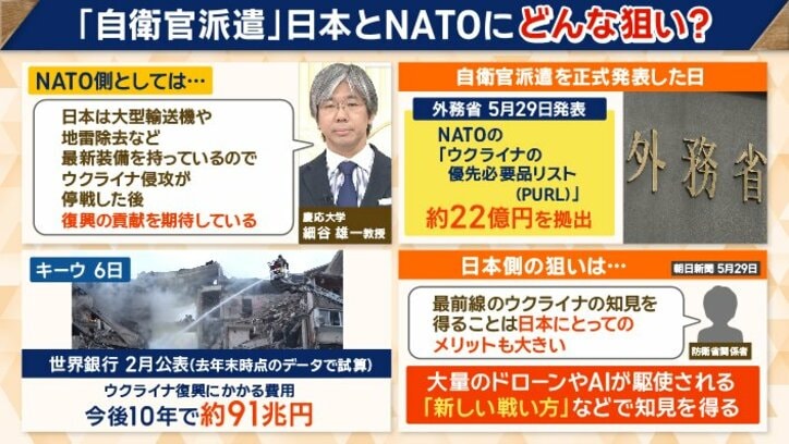 日本とNATOの思惑