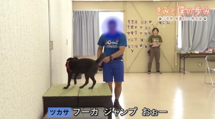 【写真・画像】「罪を犯した少年」と「捨て犬・野良犬」が共に歩む再出発、涙の別れ…少年院の保護犬訓練プログラムに密着 6枚目