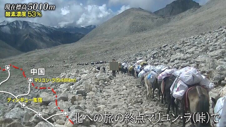 ズシっと重たい木材を背中に積み川を渡る…「世界で最も過酷で命懸けの買い物」にナスDが密着