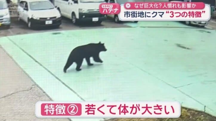特徴（2）