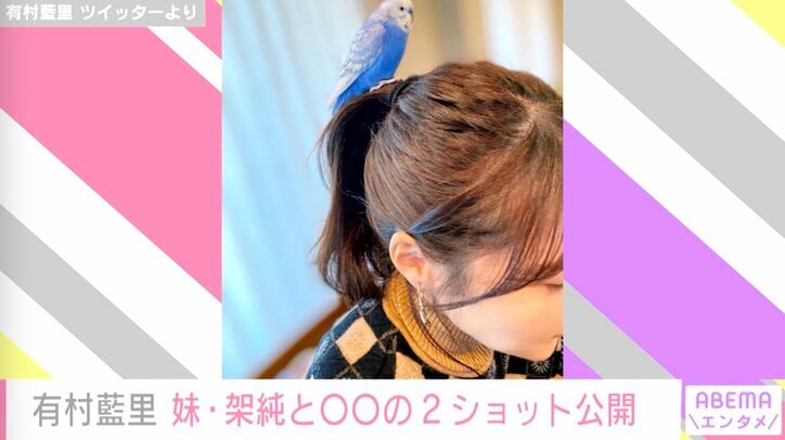 「ふたりとも可愛いね」有村藍里、妹・有村架純とペットの珍しい写真を公開
