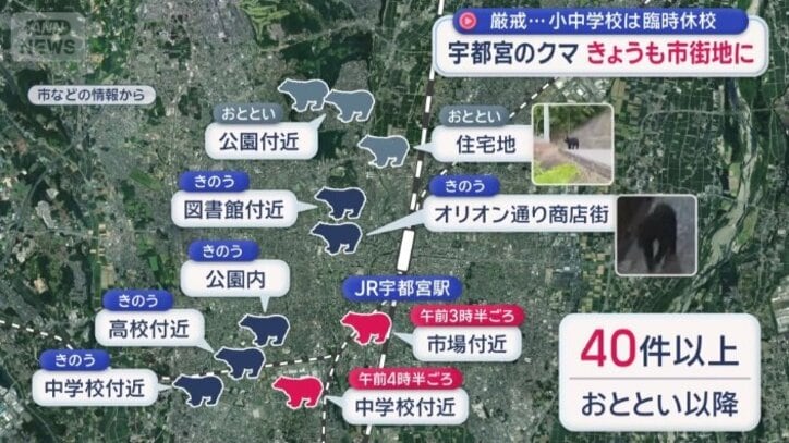 目撃情報は6日以降だけで40件以上