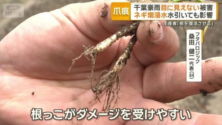 損害はおよそ300万円に上る可能性