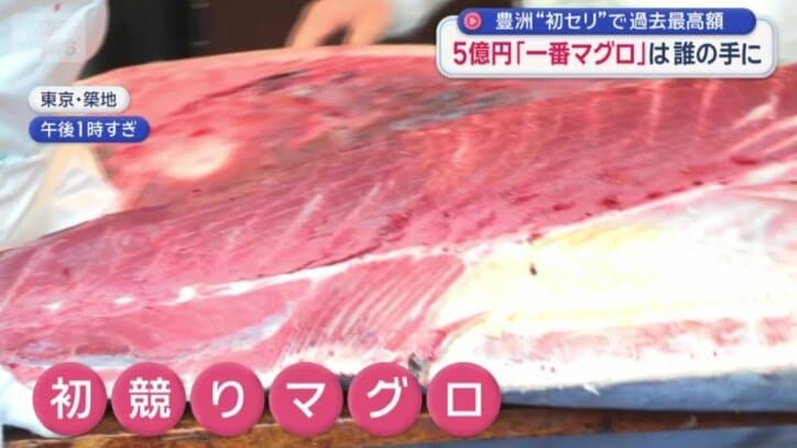 解体されるマグロ