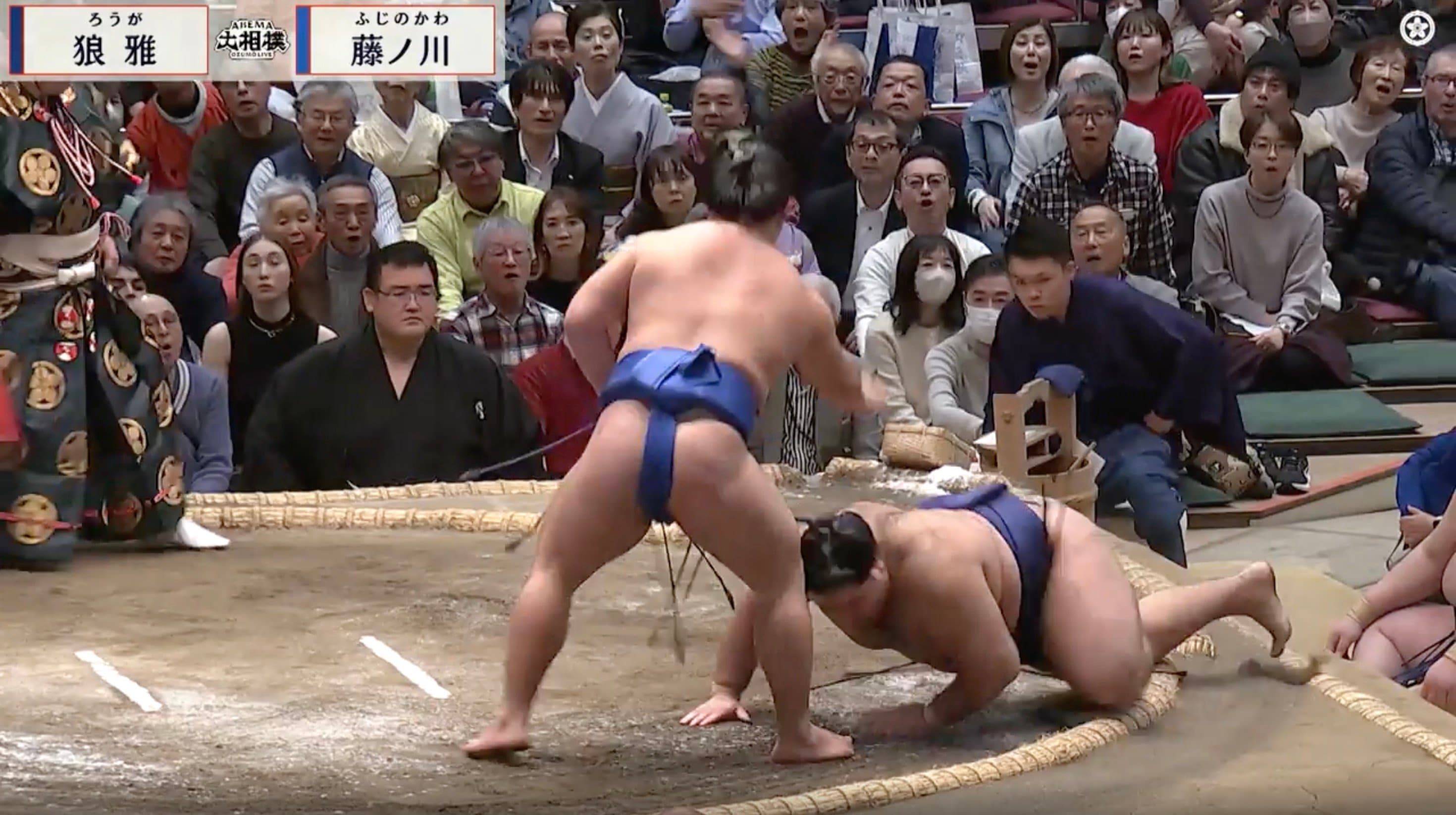 【写真・画像】小兵力士が「居ると見せかけて居ない」 一瞬の妙技“はたき込み”に館内どよめき「思わずウマイって叫んじまった」 2枚目