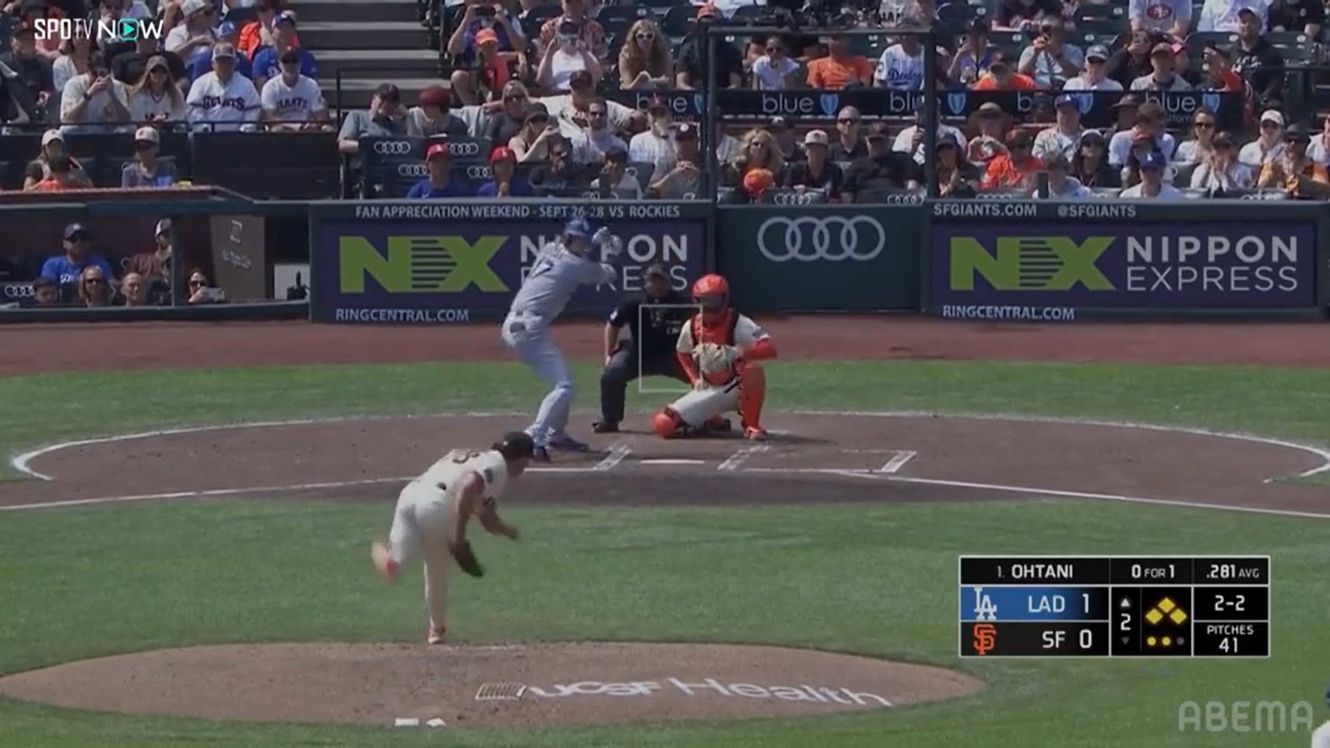 【写真・画像】 2枚目