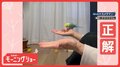 「どっちに入ってる？」　お見事！全問即答＆的中　天才インコさん　なぜ正解できる？