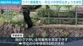 クマ1頭捕獲も…宇都宮の市立小中学校はきょうも休校