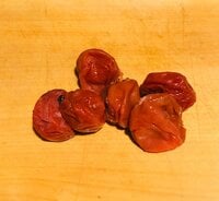 だいたひかる『晩ご飯の準備』