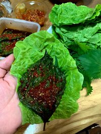 北斗晶『サンチュ』